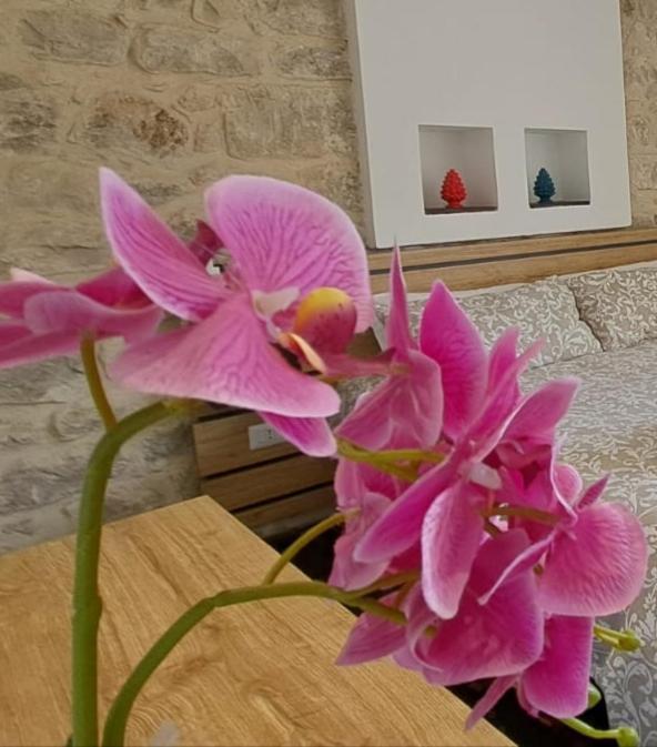 B&B Cuore Barocco Ragusa Exterior foto